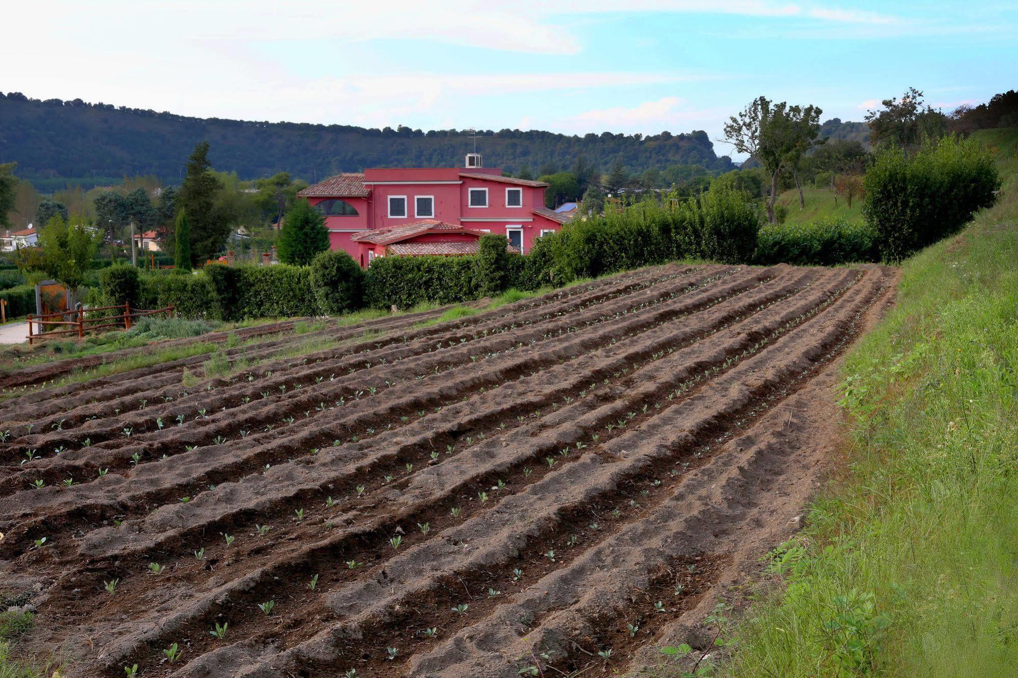 Willa Agriturismo San Martino Pozzuoli Zewnętrze zdjęcie